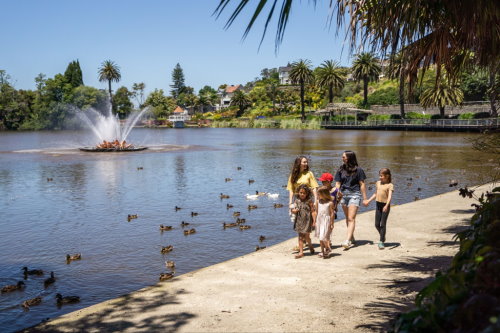 Walk Around Virginia Lake